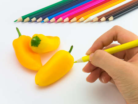 Looks like grawing fruits and vegetables on white background.の写真素材