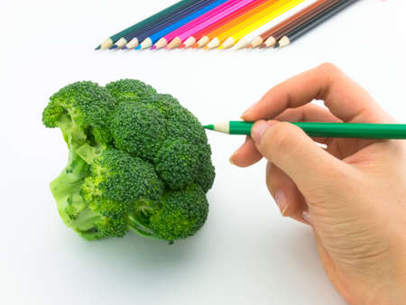 Looks like grawing fruits and vegetables on white background.の写真素材