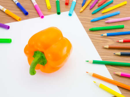 Looks like grawing fruits and vegetables on white background.の写真素材