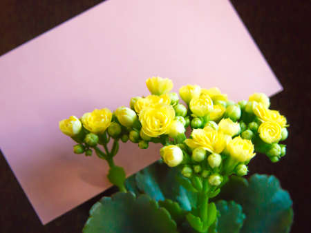 A message card for your family and friends.の写真素材