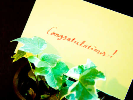 A message card for your family and friends.の写真素材