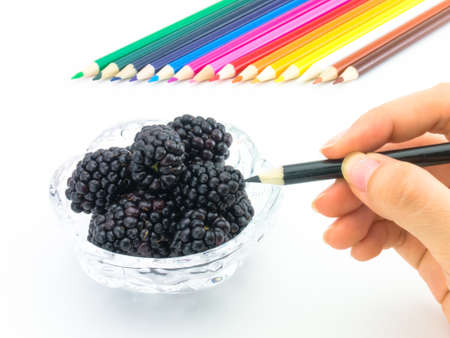 Looks like grawing fruits and vegetables on white background.の写真素材