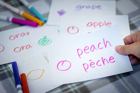 French; Learning New Language with Fruits Name Flash Cardsの写真素材
