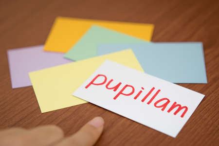Latin; Learning New Language with the Flaish Card (Translation; Apple)の写真素材
