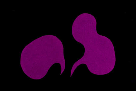 The Cut Out of Handmade Origami Balloons on the Black Backgroundの写真素材