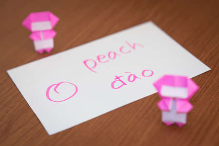 Vietnamese; Learning New Language with Fruits Name Flash Cardsの写真素材