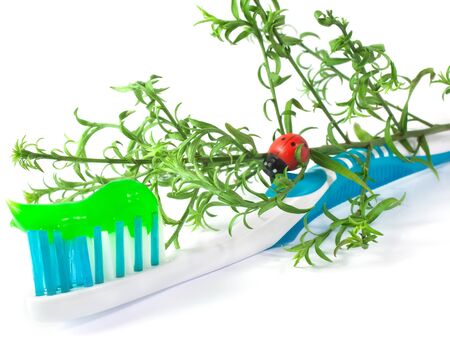 Tooth Paste on the light  blue Dental Brush on white backgroundの写真素材