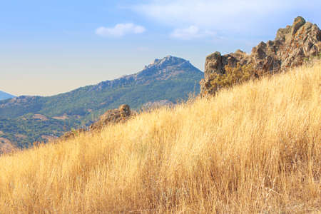 Dry grass on Karadag mountain. National park, Crimea, Ukraineの写真素材