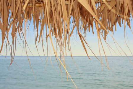 View over the sea through a dry leaves, tropical view