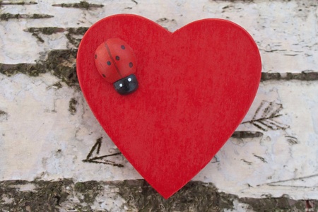 Close up of the red heart with ladybug and an arrow carved in birch tree trunkの写真素材