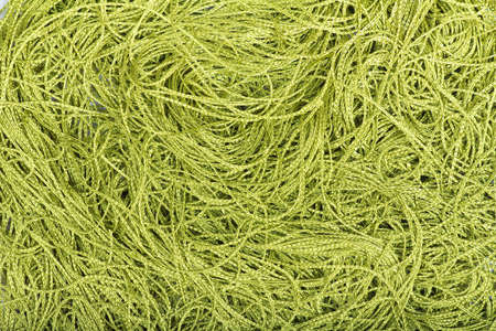 Background from the bound green strings, texture