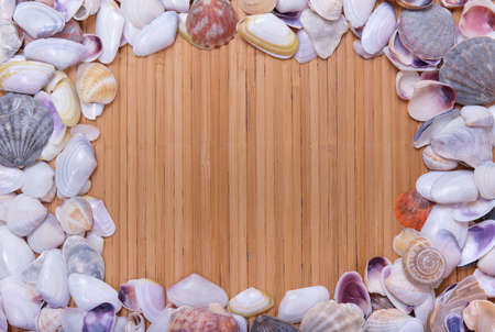 Seashell frame on a straw backgroundの写真素材