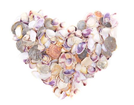 Heart shaped seashells on a white backgroundの写真素材