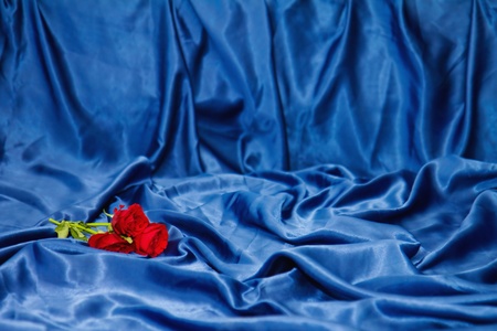 Red roses on a bed with blue sheetsの写真素材