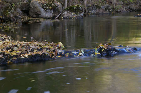 Riverの写真素材