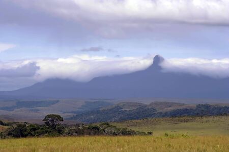 Wadakapiapue Tepuy covered in clouds with savannah in foreground.  La Gran Sabana, Canaima National Park, Venezuelaの写真素材