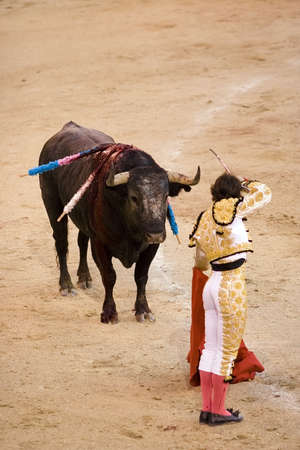 Bull facing a torero (or matador) in the bullring.の写真素材