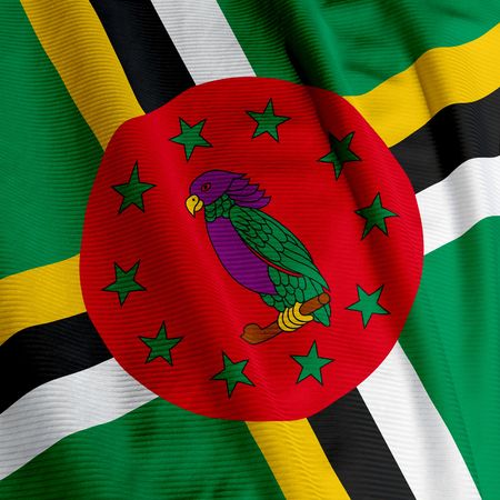 Close up of the flag of Dominica, square imageの写真素材