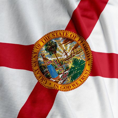 Close up of the flag of the US State of Florida, square imageの写真素材