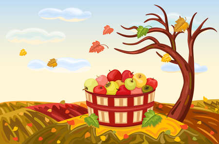Beautiful autumn landscape with rich apple harvest under a bare, lone tree. The wind is blowing and the leaves are falling. Vector illustration saved as AI8, all elements layered and grouped. のイラスト素材