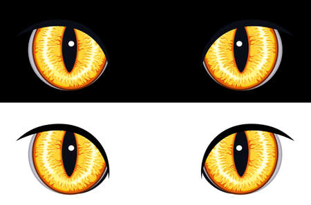 Set of evil animal eyes. Isolated on black and white backgrounds. のイラスト素材