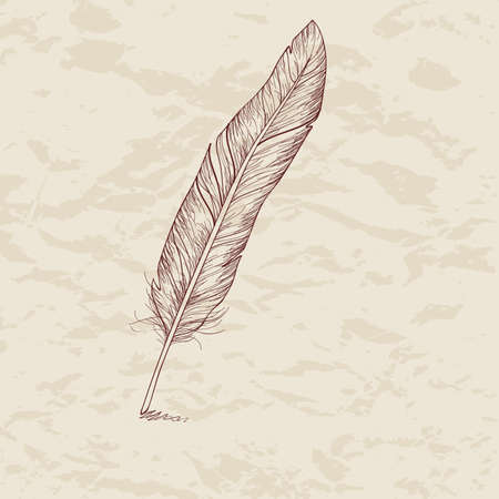 Vector illustration of featherのイラスト素材