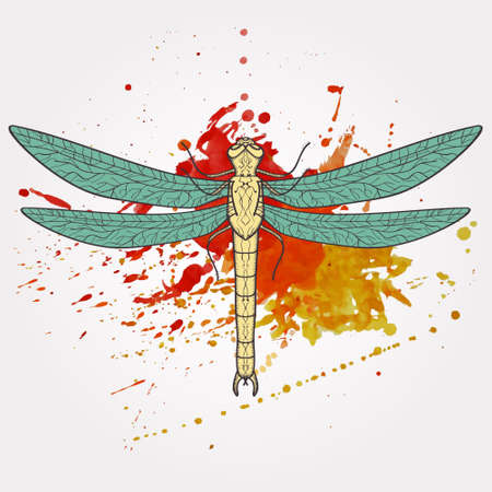 Vector illustration of dragonfly with watercolor splashのイラスト素材