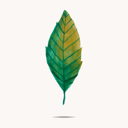 Vector illustration of watercolor leafのイラスト素材
