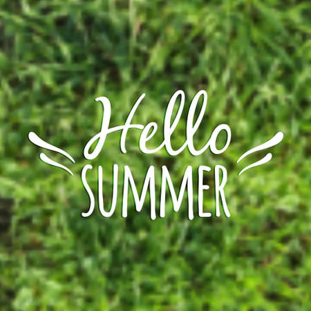 Vector blurred illustration with grass and "Hello Summer" typographical phraseのイラスト素材
