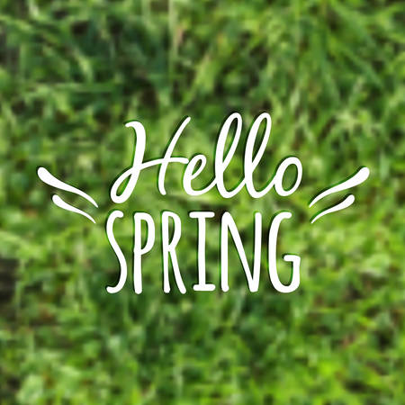 Vector blurred illustration with grass and "Hello Spring" typographical phraseのイラスト素材