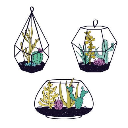 Vector set with colorful cactuses and succulents in terrariums.のイラスト素材