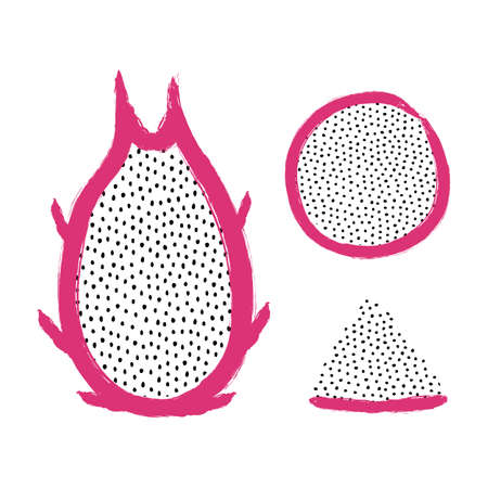 Vector illustration of sliced dragon fruit isolated on white backgroundのイラスト素材