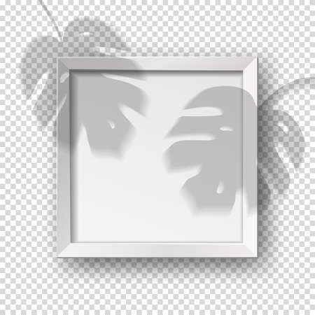 Vector realistic square empty picture frame with monstera shadow overlay effect. Mockup template with white frame boarder isolated on transparent background.のイラスト素材