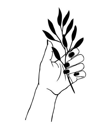 Vector illustration of women's hand holding plant. Trendy linear and minimal boho tattoo style for logo, emblem, t-shirt fashion print, stickers, skin care or cosmetics brandingのイラスト素材