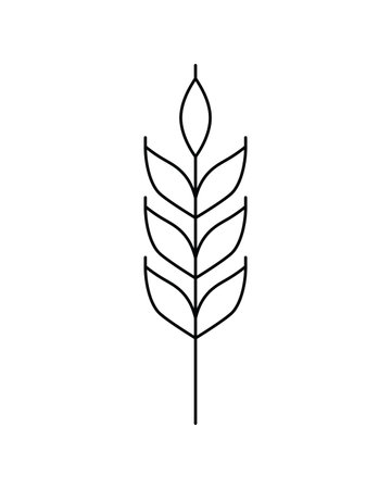 Vector linear icon of wheat ear isolated on white background. Emblem, logo design, symbol illustration of farm whole grain for bakery, organic bio product, eco business, brewery craft beer, agriculture.のイラスト素材
