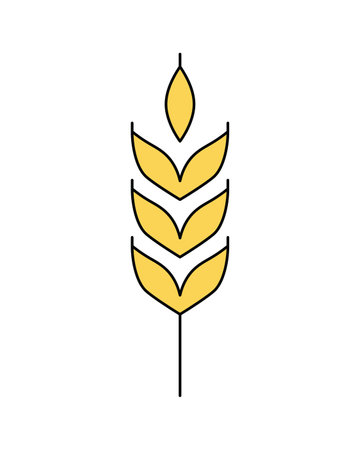 Vector linear icon of wheat ear isolated on white background. Emblem, logo design, symbol illustration of farm whole grain for bakery, organic bio product, eco business, brewery craft beer, agriculture.のイラスト素材