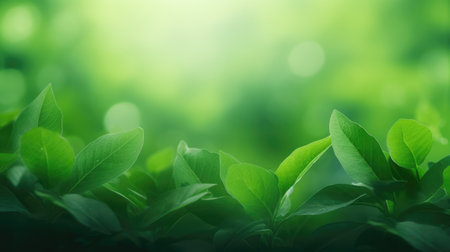 Green leaves eco-friendly background with place for text. Concept of ecology and healthy environmentの素材