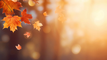Beautiful autumn background with yellow, orange and red falling leaves, bokeh and sunshine. Banner with free place for textの素材