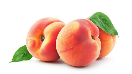 Peach fruit isolated on white backgroundの素材
