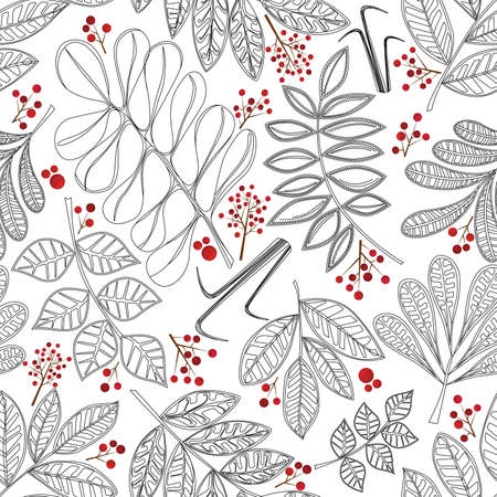 leaves with rowan berries patternのイラスト素材