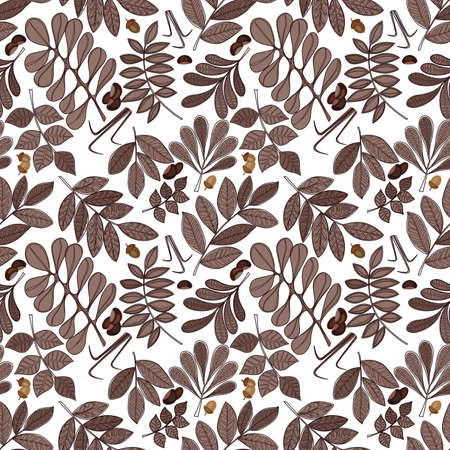 Seamless autumn leaves pattern in brown colorsの写真素材