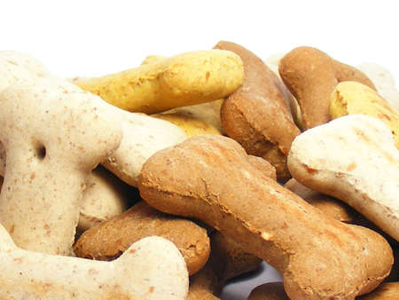 Dog and puppy Biscuit bonesの写真素材