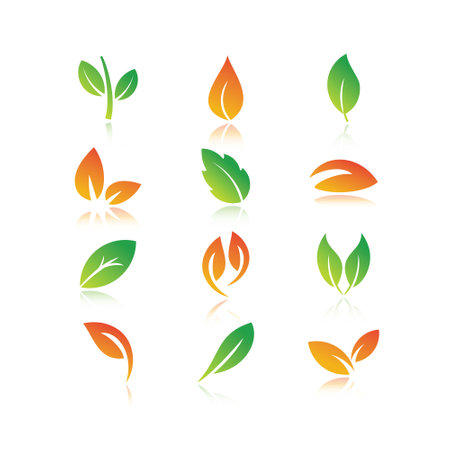 Set of colorful leaf icons with reflection on white background. Vector illustration.のイラスト素材