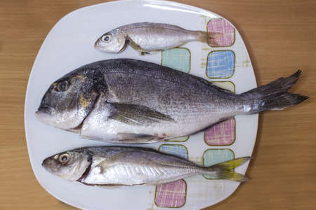 3 fish in a plate close-upの写真素材