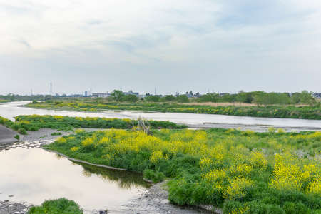 View of Futakotamagawa, Tokyo