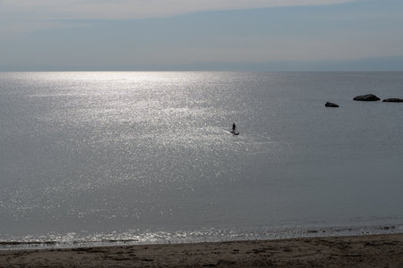 Coastal scenery of Hayama Town, Kanagawa Prefectureの写真素材