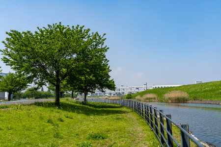 Kanagawa Prefecture Shin-Yokohama Parkの写真素材