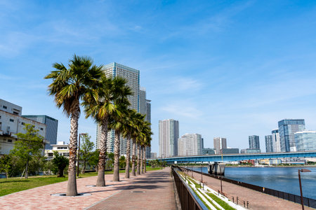 View of Harumi Canal in Tokyoの写真素材