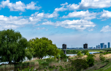 Scenery of the Tama River Noborito, Izumi Tamagawaの写真素材