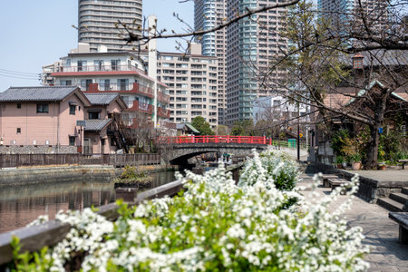 Spring scenery of Tsukishima and Tsukudajimaの写真素材